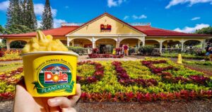 dole plantation oahu 2