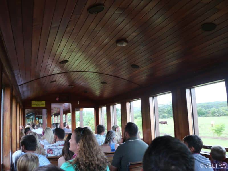 luau kalamaku show 17