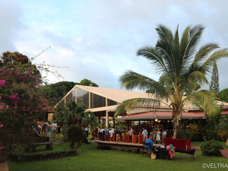 luau kalamaku show 18