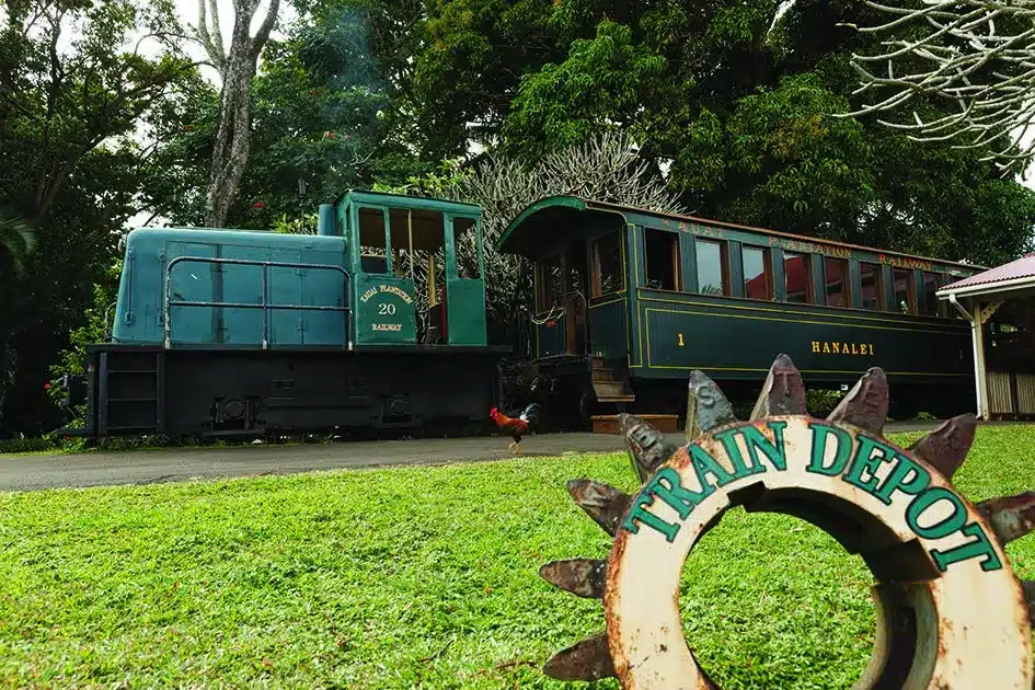 luau kalamaku show 9