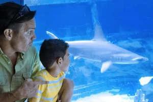 sea life park general admission 4
