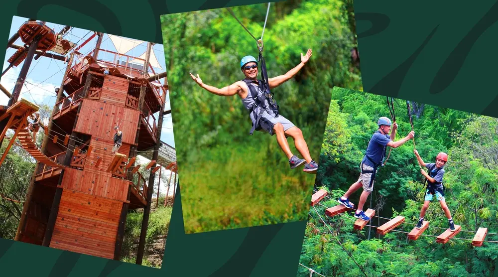 six zipline adventure tower