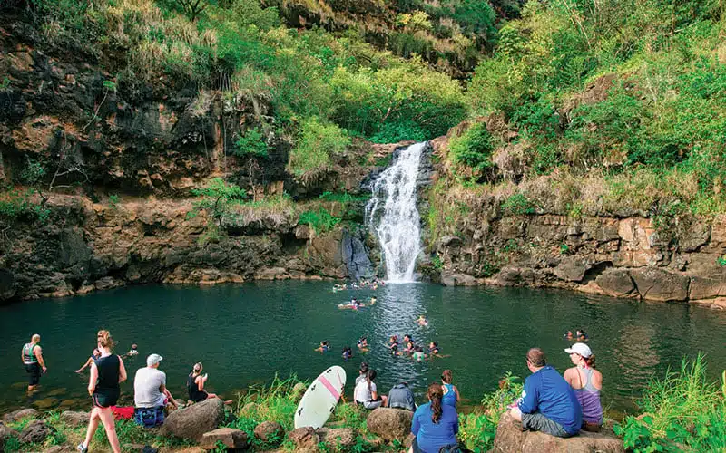 waimea valley.jpg