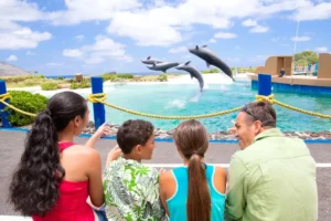 annual pass best hawaii tours 6