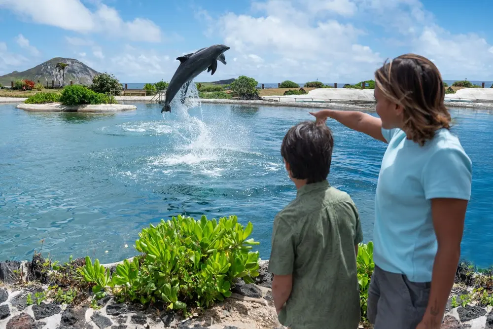annual pass best hawaii tours 7
