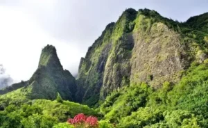 best of maui best hawaii tours 2