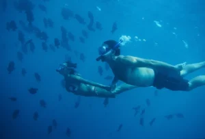 oahu dolphin watch snorkel cruise adventure 12