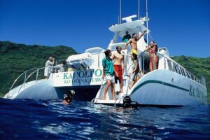 oahu dolphin watch snorkel cruise adventure 25