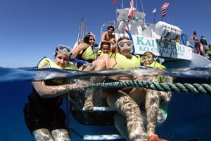 oahu dolphin watch snorkel cruise adventure 26