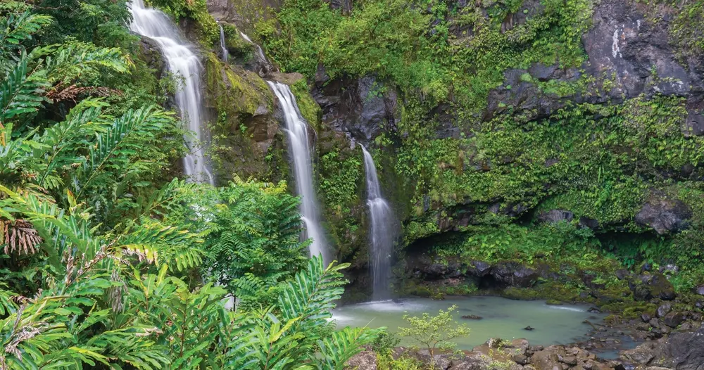 road to hana adventure best hawaii tours