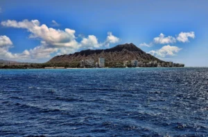 spirit of aloha whale whale watch tour 3