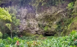waimea canyon wailua river fern grotto tour 2