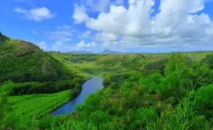 waimea canyon wailua river fern grotto tour 3