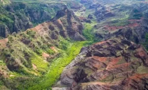 waimea canyon wailua river fern grotto tour 4