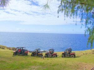 big island utv tour 4