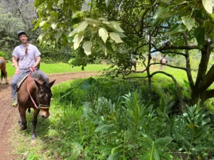 horseback ride big island tour 6