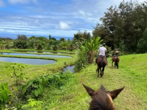 horseback ride big island tour 7