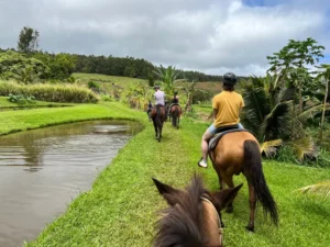 horseback ride big island tour 8