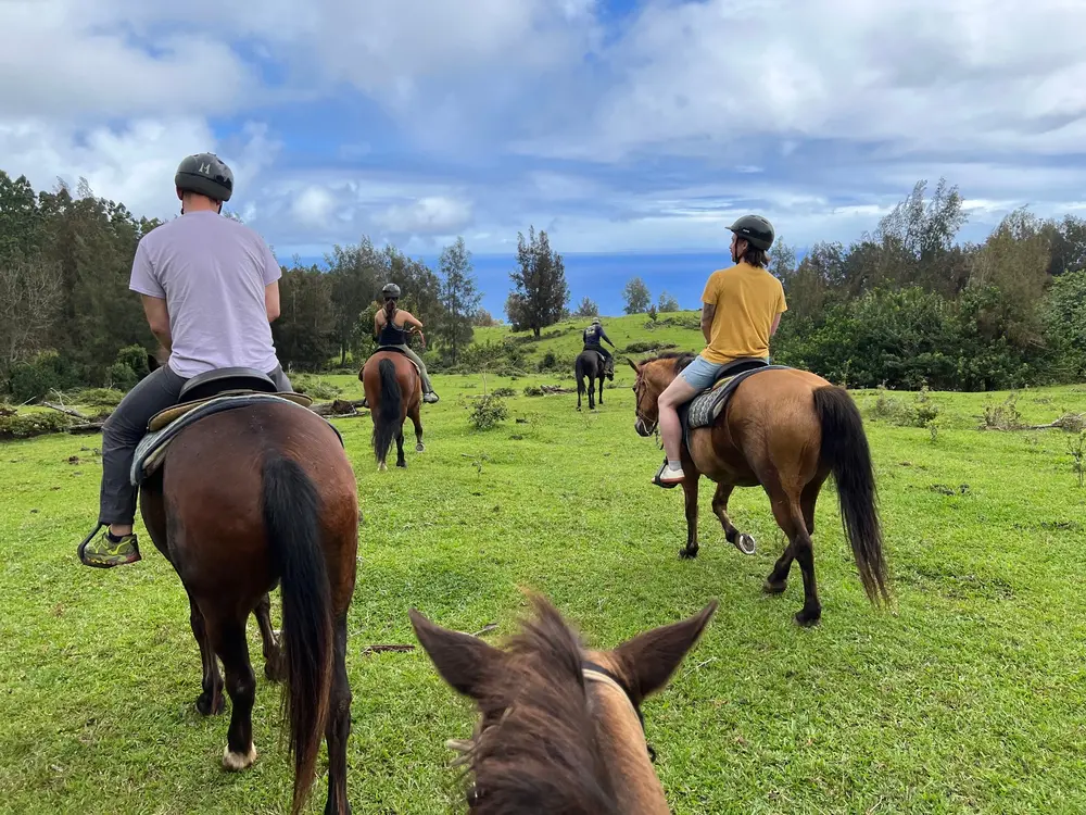 horseback ride big island tour